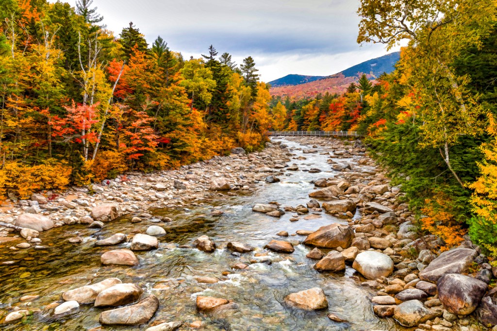Nature’s Autumn Palette